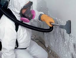 Best Mold Prevention Services  in Arnold, MD